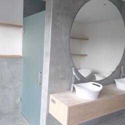 Douchedeur en spiegel